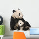 Giant Panda 18 Months - Ailuropoda Melanoleuca Wall Decal