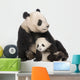 Giant Panda 18 Months - Ailuropoda Melanoleuca Wall Decal