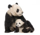 Giant Panda 18 Months - Ailuropoda Melanoleuca Wall Decal