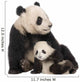 Giant Panda 18 Months - Ailuropoda Melanoleuca Wall Decal
