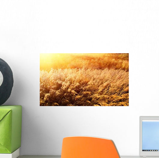 Autumn Yellow Grass and Wall Decal