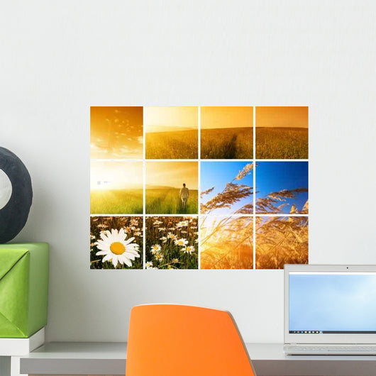 Man and Sunset Wall Decal