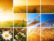 Man and Sunset Wall Decal