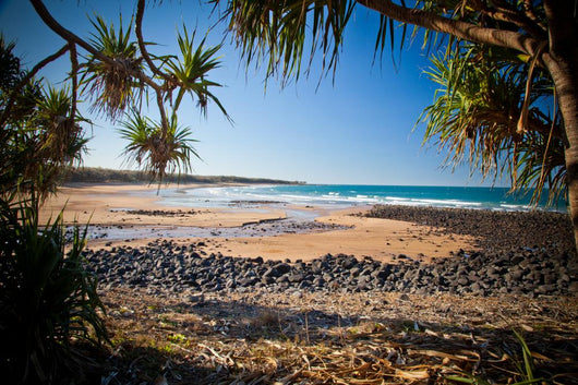 Mon Repos Beach Bundaberg Wall Decal