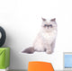 Cat with grumpy muzzle expression Wall Decal