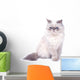 Cat with grumpy muzzle expression Wall Decal