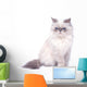 Cat with grumpy muzzle expression Wall Decal