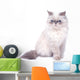 Cat with grumpy muzzle expression Wall Decal