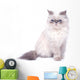 Cat with grumpy muzzle expression Wall Decal