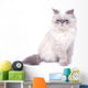 Cat with grumpy muzzle expression Wall Decal