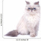 Cat with grumpy muzzle expression Wall Decal