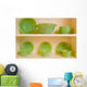 Green Dishes Wall Mural