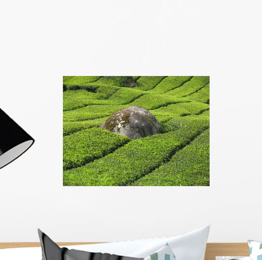Tea Plantation Cameron Highlands Wall Decal Design 2