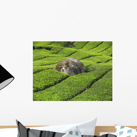 Tea Plantation Cameron Highlands Wall Decal Design 2