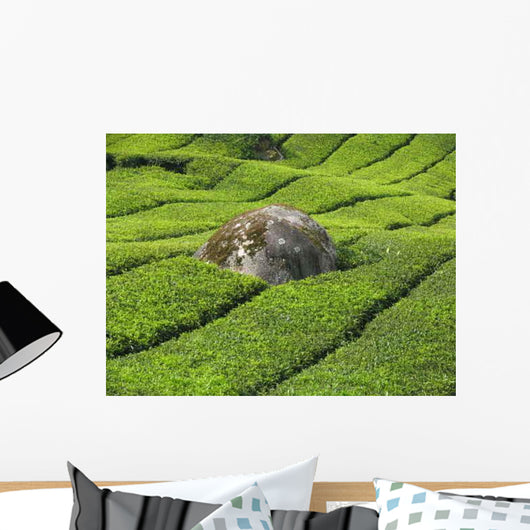 Tea Plantation Cameron Highlands Wall Decal Design 2