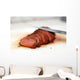 Duck breast cut into slices. Wall Mural