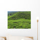 Tea Plantation Cameron Highlands Wall Decal Design 1