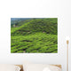Tea Plantation Cameron Highlands Wall Decal Design 1