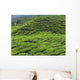 Tea Plantation Cameron Highlands Wall Decal Design 1