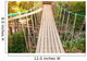 Suspension bridge, walkway to the adventurous, cross to the other side forest Wall Mural