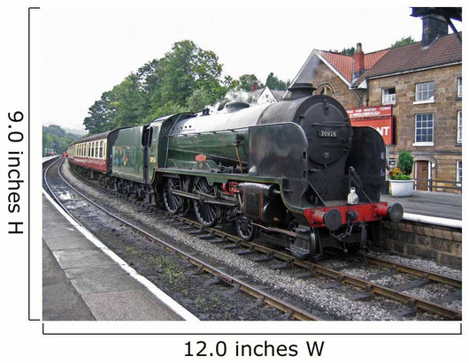 Steam Train Wall Mural