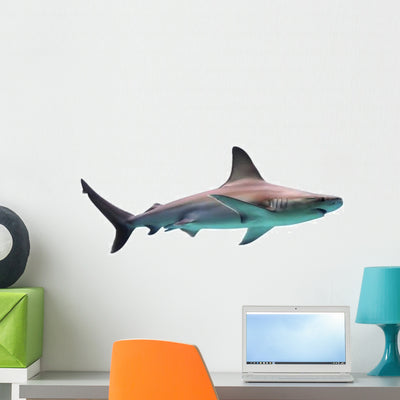 Swimming Shark Wall Decal shown on a wall