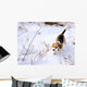 Beagle Hunting a Rabbit in the Snow Wall Mural