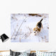 Beagle Hunting a Rabbit in the Snow Wall Mural