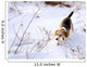 Beagle Hunting a Rabbit in the Snow Wall Mural