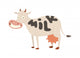 Cartoon cow character isolated Wall Decal