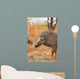 Warthog (Phacochoerus africanus) in natural habitat, Kruger National Park, South Africa. Wall Mural