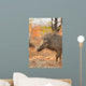 Warthog (Phacochoerus africanus) in natural habitat, Kruger National Park, South Africa. Wall Mural