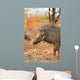 Warthog (Phacochoerus africanus) in natural habitat, Kruger National Park, South Africa. Wall Mural
