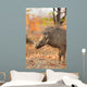 Warthog (Phacochoerus africanus) in natural habitat, Kruger National Park, South Africa. Wall Mural
