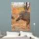 Warthog (Phacochoerus africanus) in natural habitat, Kruger National Park, South Africa. Wall Mural