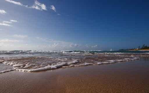 Hawaiian Beach Wall Decal