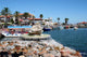 St Cyprian Wall Decal
