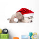 scottish kitten and sleeping Siberian Husky puppy with red santa hat. isolated on white Wall Decal