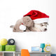 scottish kitten and sleeping Siberian Husky puppy with red santa hat. isolated on white Wall Decal