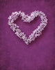 Floral heart shape Wall Mural