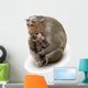 Monkey Macaca Family in Indian Town Wall Decal