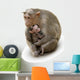 Monkey Macaca Family in Indian Town Wall Decal