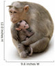 Monkey Macaca Family in Indian Town Wall Decal
