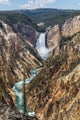 The Grand Canyon of the Yellowstone and Lower Falls from the viewpoint of Artist Point. Yellowstone National Park, Wyoming Wall Mural