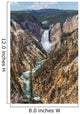The Grand Canyon of the Yellowstone and Lower Falls from the viewpoint of Artist Point. Yellowstone National Park, Wyoming Wall Mural