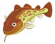 Cartoon cod Wall Decal