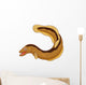 Cartoon eel Wall Decal