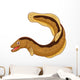 Cartoon eel Wall Decal