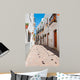 Spanish Street Wall Mural