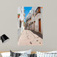 Spanish Street Wall Mural